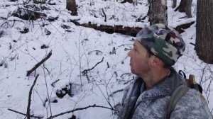 Первый соболь.