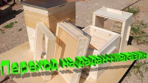 Дадан: Как правильно перейти с 2 корпусов на магазинную систему? | Мастер-класс Кашковского