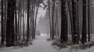 18 декабря - Зеркальный переход. Магия обновления.