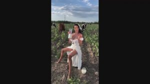 #смешныевидео -478