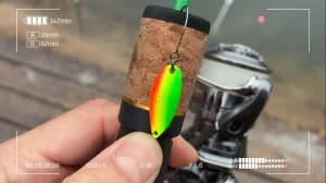 С Обезьяной за форелью