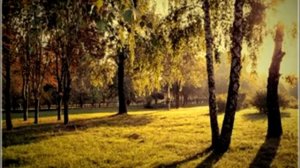 Мне хотелось идти за Христом... 🙏 христианские стихи