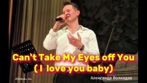 "Can’t Take My Eyes Off You" (I love you baby) исп. Александр Волкодав #volkodav ЦДУ 5/12/25 Москва