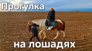 Евпатория зима 2026, Конные прогулки