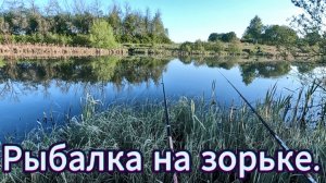 Рыбалка. На утренней зорьке.