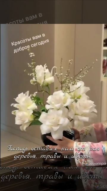 Для души...Немного красоты.