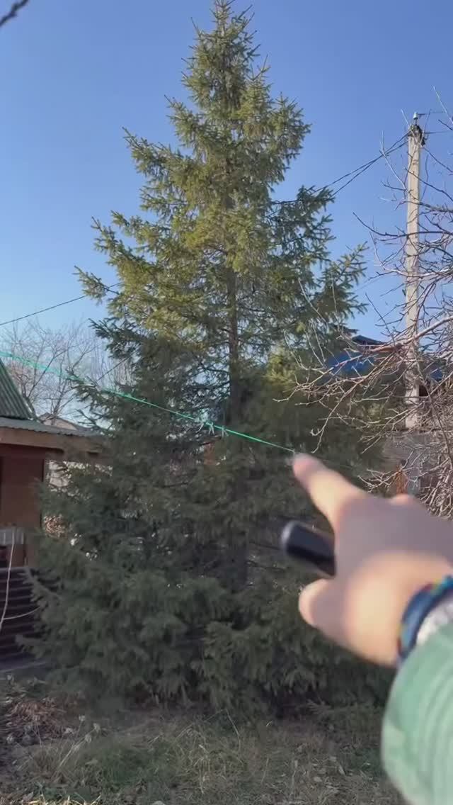 Как узнать высоту дерева?