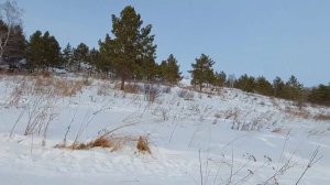 Николаевская сопка .Академия биатлона.Красноярск