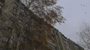 Переехали. Поиски школы. Покупки. Готовим.