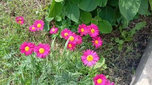 Притча о Боге и парикмахере