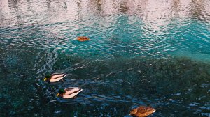 Тайны Голубых озёр: что скрывают воды под Казанью. Подробный маршрут.