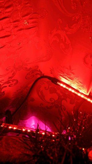 стримчик днем