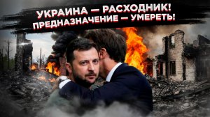 Ритуал сжигания марионетки: переговоры по Украине — это просто циничный аукцион, а не поиск мира