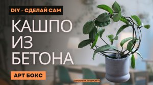 Кашпо из бетона своими руками. Обзор Арт бокса