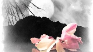 Когда в душе остались раны Юргаев и ИИ