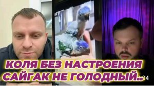 САМВЕЛ АДАМЯН, КОЛЯ БЕЗ НАСТРОЕНИЯ, САЙГАК НЕ ГОЛОДНЫЙ, ЛОРИК ЧУДО..