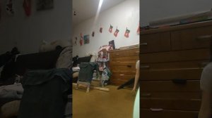 вечер с меленой она идëт на танцы