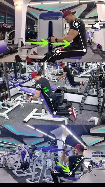 Упражнения для мышц СПИНЫ