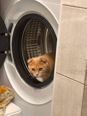 спасибо за ответ