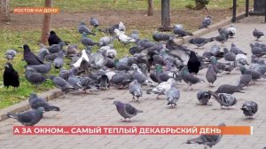 А за окном. 18 декабря 2025