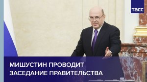 Мишустин проводит заседание правительства