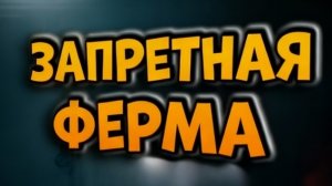 Арена Брейкаут/Arena Breakout