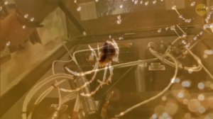 Самый нелепый космический эксперимент закончился абсолютным хаосом