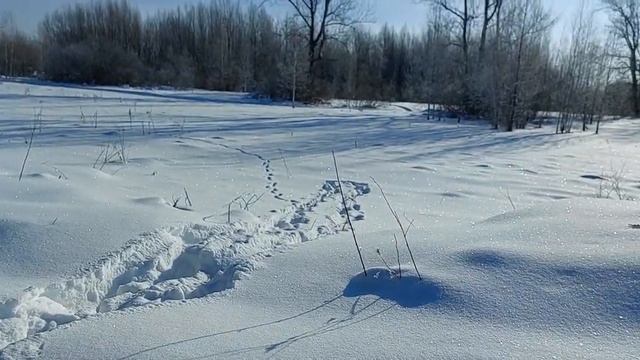 Рыбак 2мт. Выезд 11.02.2023 г смотреть онлайн