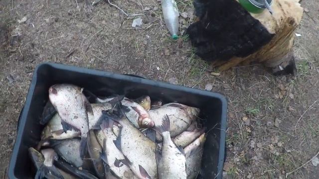 Рыбалка смотреть онлайн