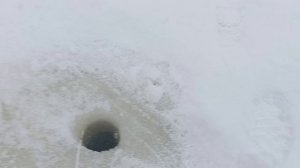 здесь рыбы нет+36