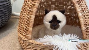 Жители Алтайского края смогут увидеть работы народных умельцев в новогодние каникулы