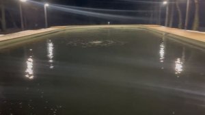 Обстановка на лесном водоеме