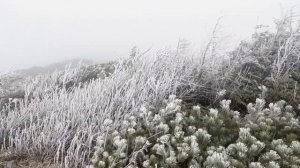 Космический Парад 19 декабря. Поймайте свой шанс.