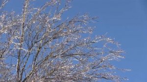 День Николая Угодника 19 декабря. Время светлой радости.