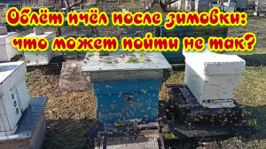 Первый облет и первые проблемы