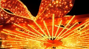 Новая жизнь с 1 января. Как превратить обещания в результаты