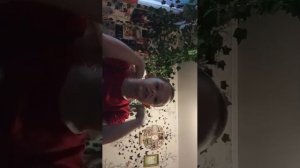 что сделал?