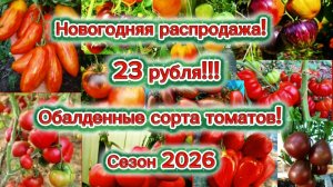 Потрясающие коллекционные сорта томатов по неприлично низкой цене.Сезон 2026.Успейте порадовать себя