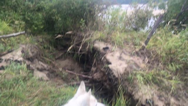 Снова на зимушке