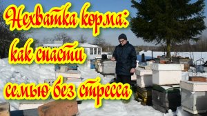 Отчёт по пасеке: оцениваем результаты зимовки по отдельным ульям.