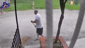 75 невероятных моментов, снятых на камеру #72 _ Лучшее за 2025 год