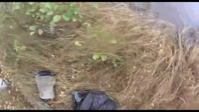 Щука потопила лодку вместе с Рыбаком 🏴☠️