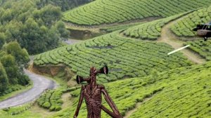 Индийский сиреноголовый