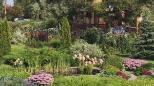 Немного летней идиллии