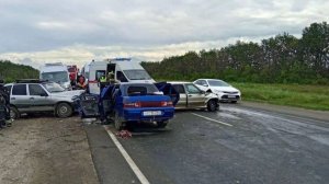 Аварии и ДТП на дорогах ТОРОПЫГИ за рулем