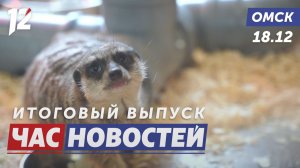 Голоса счастья из зоопарка / Космическая библиотека / Губернатор исполняет желания. Новости Омска