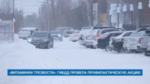 «ВИТАМИНКИ ТРЕЗВОСТИ»: ГИБДД ПРОВЕЛА ПРОФИЛАКТИЧЕСКУЮ АКЦИЮ