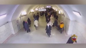 Уроженец Алтайского края за грабеж телефона в московской подземке стал фигурантом уголовного дела