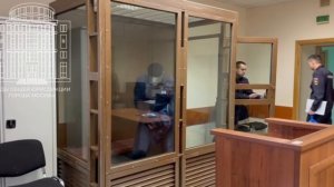 Обвиняемого в избиении модели в Москве отправили под домашний арест