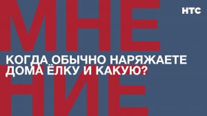 Мнение: Когда обычно наряжаете дома ёлку и какую?